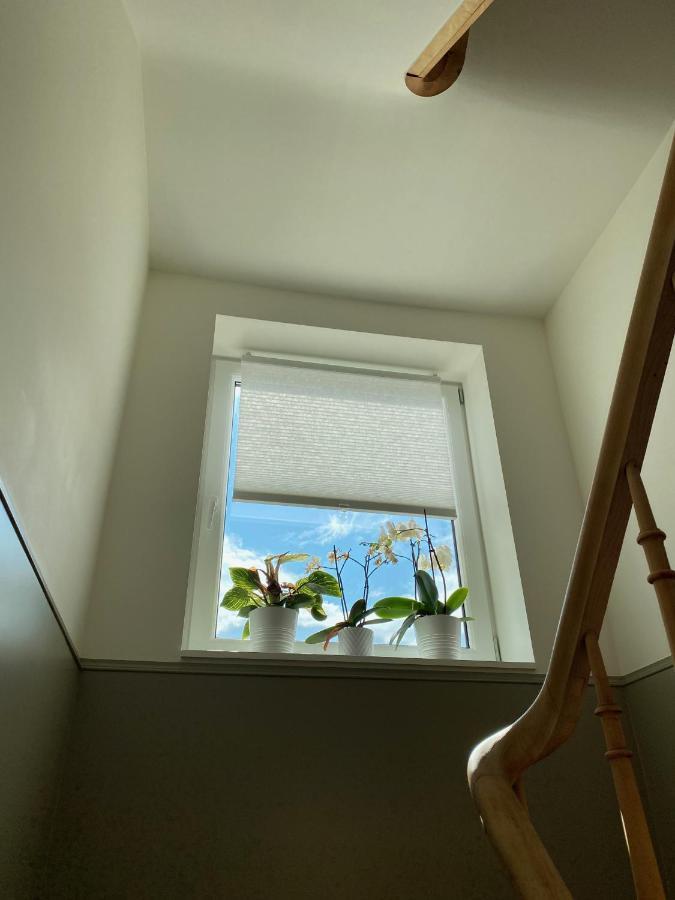 Logies-M Comfort Studios Inc Bikes B&B Oostende Eksteriør bilde